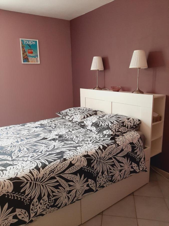 T2 Centre Ville Vue Faron 40M2 En Zone Pietonne 4Eme Etage Tulon Zewnętrze zdjęcie